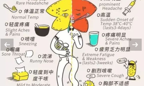甲减服药期间能哺乳吗女性-甲减服药期间能哺乳吗网 - 网站提供甲减服药期间能哺乳吗女性小常识、甲减服药期间能哺乳吗宝宝