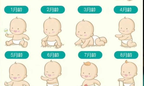吃甲减的药可以喂母乳吗-甲减服药期间能哺乳吗网 - 网站提供甲减服药期间能哺乳吗女性小常识、甲减服药期间能哺乳吗宝宝