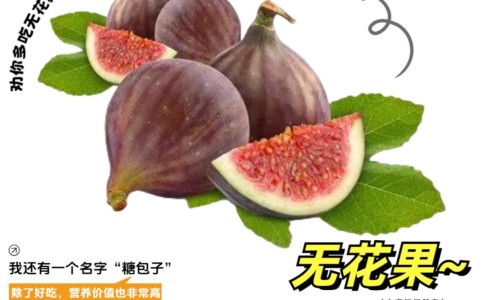 甲减服药多久指标能正常-甲减服药期间能哺乳吗网 - 网站提供甲减服药期间能哺乳吗女性小常识、甲减服药期间能哺乳吗宝宝
